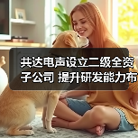 共达电声设立二级全资子公司 提升研发能力布局智能车载（图3）