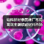 铂科新材泰国建厂布局高端金属软磁材料市场(图2) 铂科新材泰国建厂布局高端金属软磁材料市场(图2)