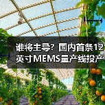 谁将主导？国内首条12英寸MEMS量产线投产，370亿投资引关注（图3）