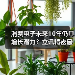 消费电子未来10年仍具增长潜力？立讯精密最新布局曝光（图2）