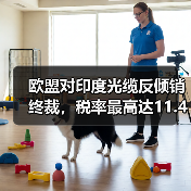 欧盟对印度光缆反倾销终裁，税率最高达11.4%（图1）