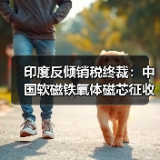 印度反倾销税终裁:中国软磁铁氧体磁芯征收5年税(图2) 印度反倾销税终裁:中国软磁铁氧体磁芯征收5年税(图2)