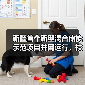 新疆首个新型混合储能示范项目并网运行，技术应用有何突破？（图1）