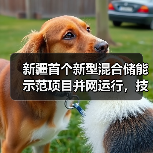 新疆首个新型混合储能示范项目并网运行，技术应用有何突破？（图3）