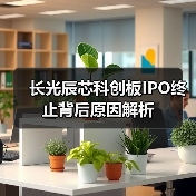 长光辰芯科创板IPO终止背后原因解析（图3）