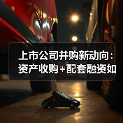 上市公司并购新动向:资产收购+配套融资如何提升竞争力?(图3) 上市公司并购新动向:资产收购+配套融资如何提升竞争力?(图3)
