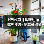 上市公司并购新动向:资产收购+配套融资如何提升竞争力?(图4) 上市公司并购新动向:资产收购+配套融资如何提升竞争力?(图4)