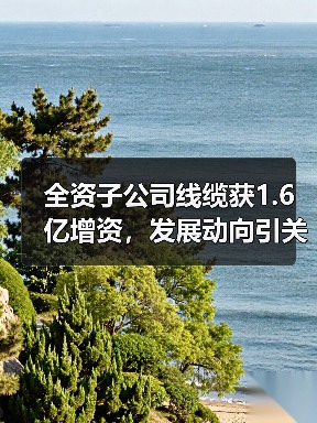 全资子公司线缆获1.6亿增资,发展动向引关注(图2) 全资子公司线缆获1.6亿增资,发展动向引关注(图2)