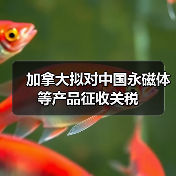 加拿大拟对中国永磁体等产品征收关税（图2）