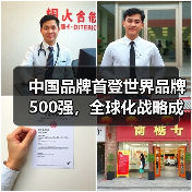 中国品牌首登世界品牌500强,全球化战略成果显著(图4) 中国品牌首登世界品牌500强,全球化战略成果显著(图4)