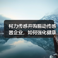 柯力传感并购振动传感器企业，如何强化健康监测布局？（图1）