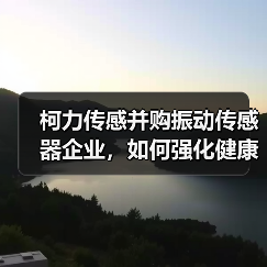 柯力传感并购振动传感器企业，如何强化健康监测布局？（图3）