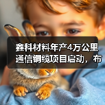 鑫科材料年产4万公里通信铜缆项目启动，布局未来市场（图3）