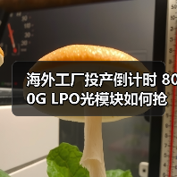 海外工厂投产倒计时 800G LPO光模块如何抢占市场先机？（图4）