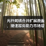 光纤网络合并扩展覆盖，提速服务助力市场增长（图4）