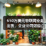 650万美元物联网业务出售,企业协同效应凸显(图1) 650万美元物联网业务出售,企业协同效应凸显(图1)