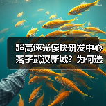 超高速光模块研发中心落子武汉新城?为何选址中轴线?(图4) 超高速光模块研发中心落子武汉新城?为何选址中轴线?(图4)