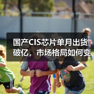 国产CIS芯片单月出货破亿,市场格局如何变化?(图2) 国产CIS芯片单月出货破亿,市场格局如何变化?(图2)