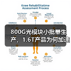 800G光模块小批量生产,1.6T产品为何加速送样?(图1) 800G光模块小批量生产,1.6T产品为何加速送样?(图1)