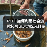 PLDT如何利用社会贷款拓展偏远地区光纤覆盖？（图3）