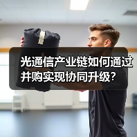 光通信产业链如何通过并购实现协同升级？（图2）