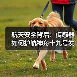 航天安全背后：传感器如何护航神舟十九号发射（图1）