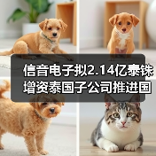 信音电子拟2.14亿泰铢增资泰国子公司推进国际化布局(图4) 信音电子拟2.14亿泰铢增资泰国子公司推进国际化布局(图4)