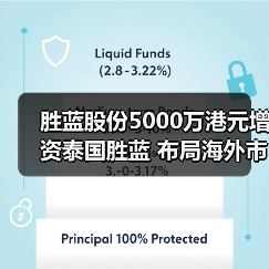 胜蓝股份5000万港元增资泰国胜蓝 布局海外市场（图4）