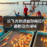 长飞光坊项目即将投产？最新动态揭秘（图2）
