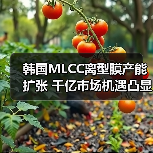 韩国MLCC离型膜产能扩张 千亿市场机遇凸显?(图1) 韩国MLCC离型膜产能扩张 千亿市场机遇凸显?(图1)