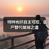 特种光纤自主可控，国产替代破局之道（图2）