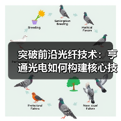突破前沿光纤技术：亨通光电如何构建核心技术优势？（图2）