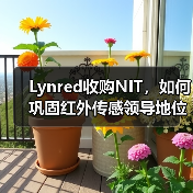 Lynred收购NIT，如何巩固红外传感领导地位？（图3）