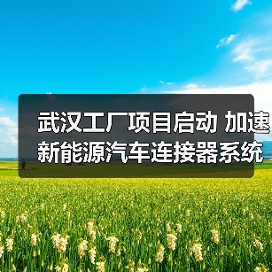 武汉工厂项目启动 加速新能源汽车连接器系统布局（图4）