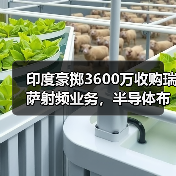 印度豪掷3600万收购瑞萨射频业务，半导体布局大动作？（图2）