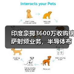 印度豪掷3600万收购瑞萨射频业务，半导体布局大动作？（图3）