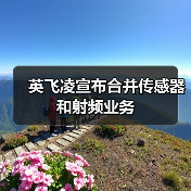 英飞凌宣布合并传感器和射频业务(图2) 英飞凌宣布合并传感器和射频业务(图2)