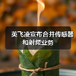 英飞凌宣布合并传感器和射频业务(图3) 英飞凌宣布合并传感器和射频业务(图3)