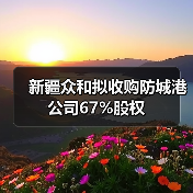 新疆众和拟收购防城港公司67%股权(图3) 新疆众和拟收购防城港公司67%股权(图3)