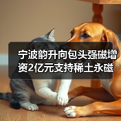 宁波韵升向包头强磁增资2亿元支持稀土永磁项目（图2）