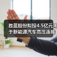 胜蓝股份拟投4.5亿元用于新能源汽车高压连接器及组件等项目（图2）