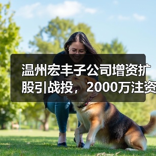 温州宏丰子公司增资扩股引战投，2000万注资背后有何深意？（图3）