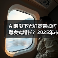 AI浪潮下光纤宽带如何爆发式增长？2025年市场机遇全解析（图3）