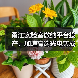 甬江实验室微纳平台投产，加速高端光电集成创新（图3）