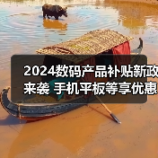 2024数码产品补贴新政来袭 手机平板等享优惠（图3）