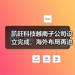 凯旺科技越南子公司设立完成，海外布局再进一步（图4）