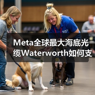 Meta全球最大海底光缆Waterworth如何支撑AI发展？（图3）