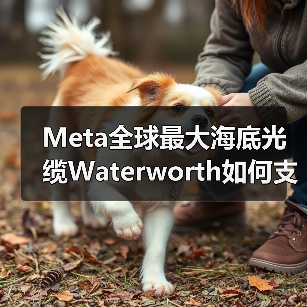 Meta全球最大海底光缆Waterworth如何支撑AI发展？（图4）