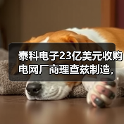 泰科电子23亿美元收购电网厂商理查兹制造，布局电力升级市场（图2）