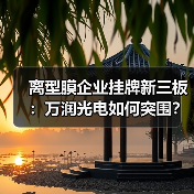 离型膜企业挂牌新三板：万润光电如何突围？（图1）